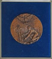 Tóth Sándor (1933-2019) 1973. &quot;Hortobágyi Intéző Bizottság 1963-1973&quot; kétoldalas öntött bronz plakett, dísztokban (106mm) T:AU kis patina