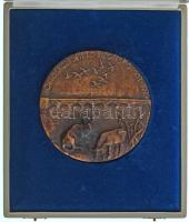 Tóth Sándor (1933-2019) 1973. "Hortobágyi Intéző Bizottság 1963-1973" kétoldalas öntött br...