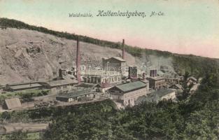 Kaltenleutgeben mill