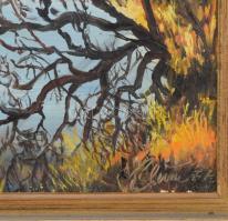 Bernhard Blum (-): A Riegsee Murnaunál, Bajorország. Olaj, farost, jelezve jobbra lent, hátoldalán a...