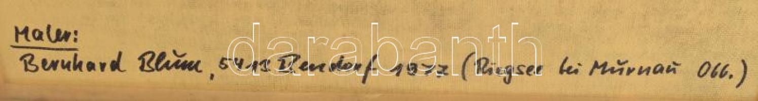 Bernhard Blum (-): A Riegsee Murnaunál, Bajorország. Olaj, farost, jelezve jobbra lent, hátoldalán a...