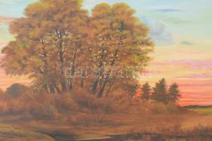 Szt. Királyi (Szentkirályi Miklós?) jelzéssel, XX. sz. vége: Naplemente. Olaj, farost. Dekoratív, üv...