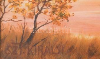 Szt. Királyi (Szentkirályi Miklós?) jelzéssel, XX. sz. vége: Naplemente. Olaj, farost. Dekoratív, üv...