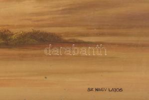 Sz. Nagy Lajos (-), XX. sz. vége: Vihar utáni táj. Olaj, farost. Jelzett. Dekoratív, kissé sérült fa...