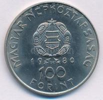 1980. 100Ft Ni "Szovjet-magyar közös űrrepülés" T:AU Adamo EM61