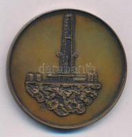 Lapis András (1942-) DN "Kőolajkutató Vállalat" kétoldalas bronz emlékérem (42,5mm) T:AU