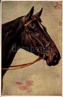 1929 Horse. T.S.N. Serie 1422. (6 Muster) (EM)