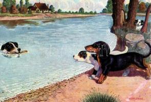 Dogs by the riverside, Dachshund dog. A.R. & C.i.B. Nr. 1108/4. s: Herm. Frenz