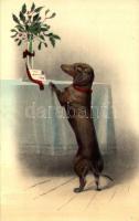 Dachshund dog with flowers. R.F.W.S. 367.