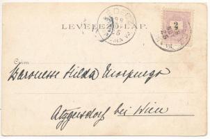 1898 (Vorläufer) Lednicróna, Lednicz-Rovne, Lednicz-Rownye, Lednické Rovne; Kapelle, Kastell, Glasfa...