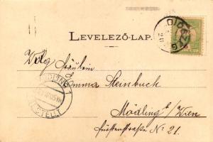 1905 Diószeg, Magyardiószeg, Diosek, Sládkovicovo; Diószeghi kastély, Báró Kuffner kastélya / castle