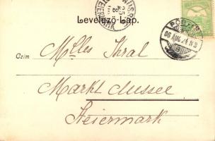 1906 Pöstyén, Piestany; Amália udvar / Amalienhof / villa (EK)