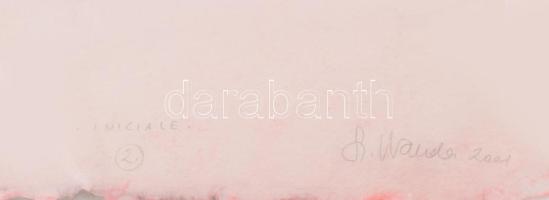 Szyksznian Wanda (1948-): Iniciale 2, 2001. Computer print, merített papír, jelzett, számozott (14/7...