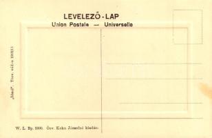 Dunavecse, látkép. W.L. Bp. 5000. "Ideal" 1910/13. Özv. Kohn Józsefné kiadása