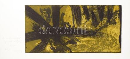 Arany János: A walesi bárdok. A könyvet tervezte és illusztrálta: Részegh Botond. Angol nyelvre ford...