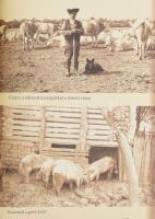 Ando György szerk.: Csabaensis - Békéscsaba 300. Harmadik kiadás. Békéscsaba, 2021, Munkácsy Mihály ...