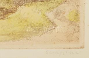 Elekfy Jenő (1895-1968): Erdei út. Színezett rézkarc, papír, jelzett, kissé foltos, üvegezett keretb...