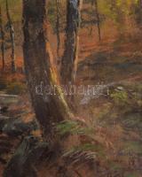 Olvashatatlan jelzéssel: Erdőbelső. Pasztell, papír, plexiüvegezett fakeretben, 49×39 cm