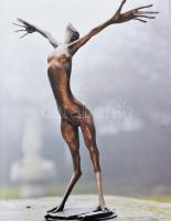 Csíkszentmihályi Róbert. Szerk.: Nagy T. Katalin. A művész, Csíkszentmihályi Róbert (1940-2021) Koss...