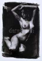 Hlavathy Károly: Metszet 1-2. Fotóalbum. Sepsiszentgyörgy, 2016, ARTprinter. 71+71 p. Hlavathy Károl...