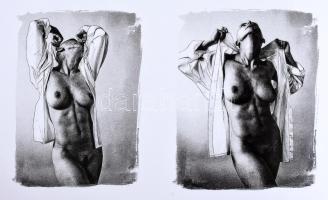 Hlavathy Károly: Metszet 1-2. Fotóalbum. Sepsiszentgyörgy, 2016, ARTprinter. 71+71 p. Hlavathy Károl...