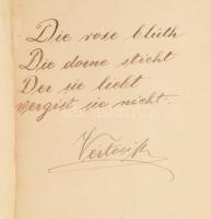 cca 1890-1895 Régi emlékkönyv, magyar és német nyelvű bejegyzésekkel, rajzokkal. Dekoratív, domborny...