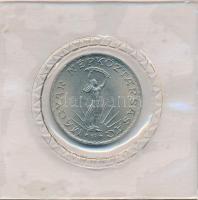 1981. 10Ft Ni "FAO" lezárt fóliatokban T:UNC patina Adamo EM63