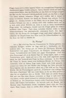 Villiers, Elizabeth - Pachinger, Anton Maximilian: 
Amulette und Talismane und andere geheime Dinge...