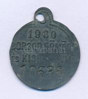 1930. Borsod, Gömör és Kishont Vármegyék ebadójegy / kutyabárca, 10636 sorszámmal (37x31mm) T:XF oxidáció