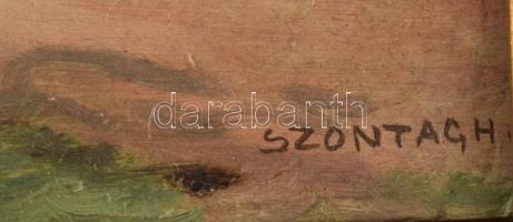 Szontágh Tibor (1873-1930): Falusi ház. Olaj, vászon, jelzett (jobbra lent). Dekoratív, fakeretben, ...