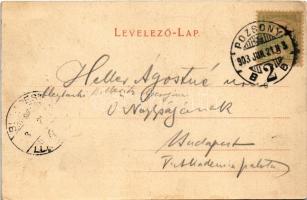 1903 Pozsony, Pressburg, Bratislava; Sétatér, villamos, vár / Promenade, tram, castle (fl)