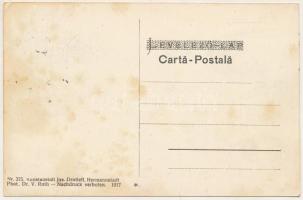 Szelindek, Stolzenburg, Slimnic; vár. Kunstanstalt Jos. Drotleff Nr. 375. Phot. Dr. V. Roth / castle...