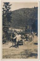 Gelence, Ghelinta; Verwundeten Transport Train abwartz nach Gelence / sebesülteket szállító trén Gelence irányába / WWI K.u.K. military, injured soldiers on their way to Ghelinta. photo (EK)