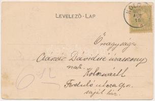 1903 Kolozs-sósfürdő, Kolozsfürdő, Baile Cojocna; Kolozs látképe / general view (fl)