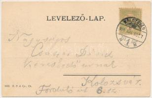 1904 Kolozs-sósfürdő, Kolozsfürdő, Baile Cojocna; park részlet / spa park (EK)