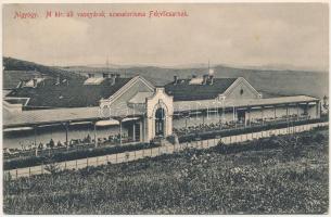 1917 Algyógy, Geoagiu; M. kir. állami vasgyárak szanatóriuma, Fekvőcsarnok / iron factory, ironworks' sanatorium (EK)