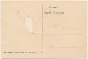 Algyógy, Geoagiul de jos, Geoagiu; fürdő vendéglő. Iosif Briegel Fotograf / spa restaurant (ragasztó...