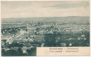 1927 Nagyapold, Grosspold, Apoldu Mare, Apoldu de Sus; Vedere generala / Gesamtansicht / látkép. Andr. Glatz kiadása / general view (fa)