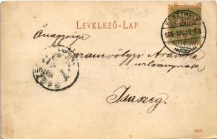 1905 Keszthely, Festetics kastély. Vasvári József kiadása (EB)