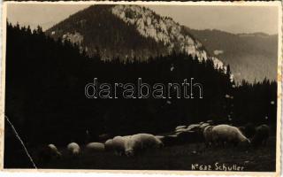 1937 Brassó, Kronstadt, Brasov; Schuler / Postavaru / Keresztényhavas, birkanyáj / mountain, flock of sheep. Foto Angelo photo (EB)