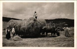 Magyarvista, Vista, Vistea; szénagyűjtés, erdélyi folklór. Lepage Lajos kiadása / Transylvanian folklore, collecting hay