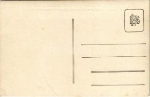 Kolozsvár, Cluj; Al 2-lea Congres al Corp. Contab. La Cluj 5-8 Sept. 1925. Grup de congresisti inain...