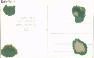 Felsőbánya, Baia Sprie; látkép / general view. photo (vágott / cut)