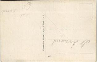 Arad, látkép, Maros-part / general view, Mures riverside. Kossakné és Schwarz photo (fl)