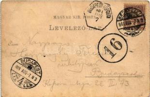 1901 Kecskemét, Kossuth tér (fa) + Hátoldalon "BUDAPEST-FŐPOSTA" hatszögű bélyegzés 16 por...