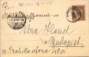 1901 Nagykároly, Carei; Kölcsey utca. Csókás László kiadása / street