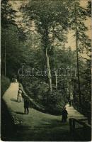 1913 Karlovy Vary, Karlsbad; Waldpartie am Faulenzer Weg / forest park (EK)