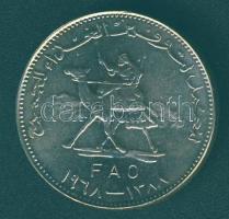 Szudán 1968. 25G "FAO" T:1-/2+