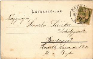 1904 Szeged, Állami felsőbb leány iskola. Lipsitz S. képcsarnoka kiadása (fl)