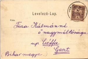 1901 Igló, Zipser Neudorf, Spisská Nová Ves; látkép. Verlag C. Schröter. Lichtdruck A. Fabian & ...